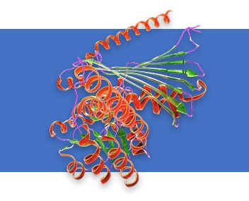 Proteínas recombinantes