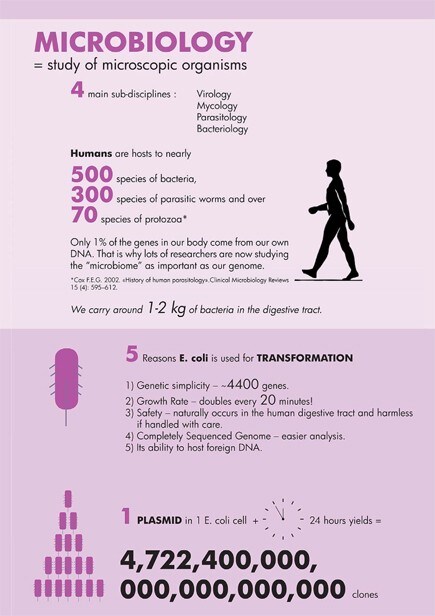 Microbiology in numbers
