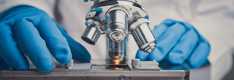 Extensive, Curated Product Portfolio