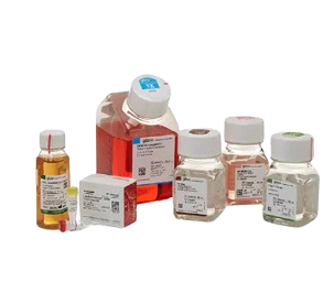 24975_Merch_P1_Product