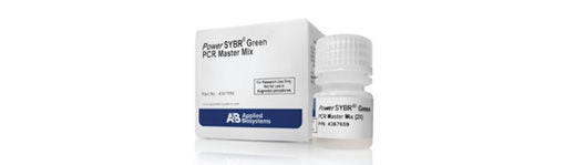 Mezcla maestra Applied Biosystems™ Fast SYBR™ Green
