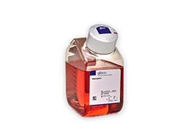 Medios de cultivo para células madre