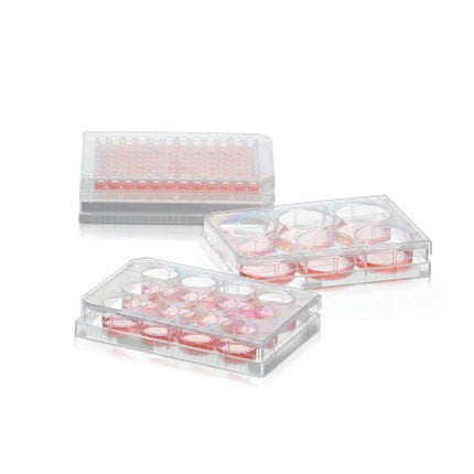 Placa de 96 pocillos Thermo Scientific™, superficie Sphera de baja adhesión