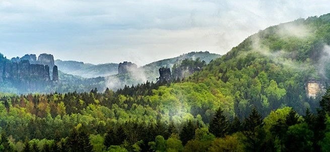 Sustainability Program