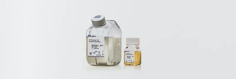 Productos para células madre, neurociencia y terapia celular