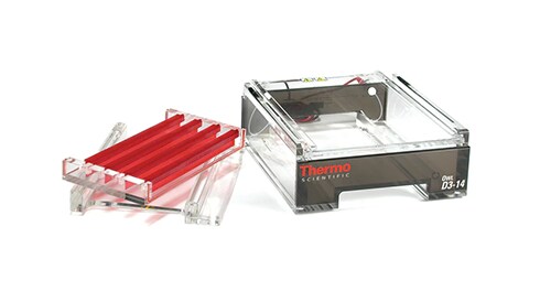Gel Electrophoresis Equipment and Supplies