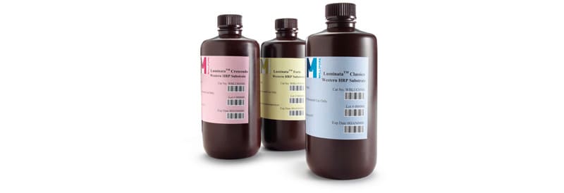 Merck Millipore Luminata™ Western HRP Chemiluminescence Substrates
