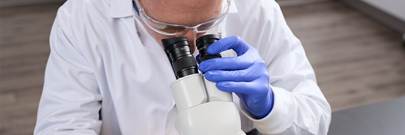 Accelerator-Free Gloves