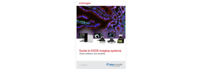 PDF Image