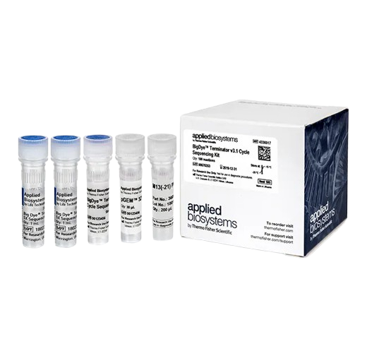 25356 Merch P2 Product 1