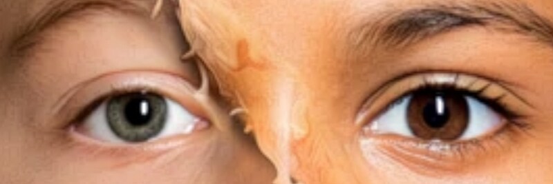 Headline Discoveries