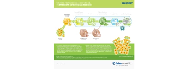 Infographic Eppendorf 