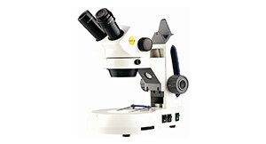 Educational Stereo Microscope