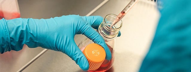 Ensayos bioquímicos y basados en células