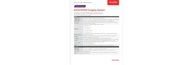 PDF Image