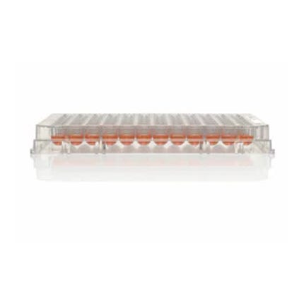 Microplaca Thermo Scientific™ Nunclon™ Sphera™ de 96 pocillos, tratada con Nunclon Sphera, fondo en U