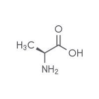 Alanine