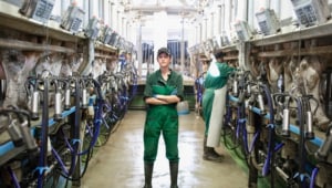 Application Header - Food