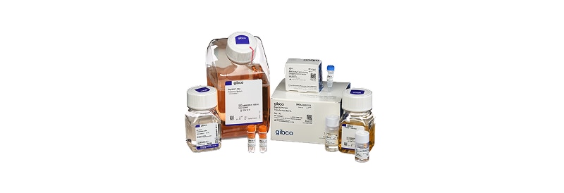 BRAND Transferpettes