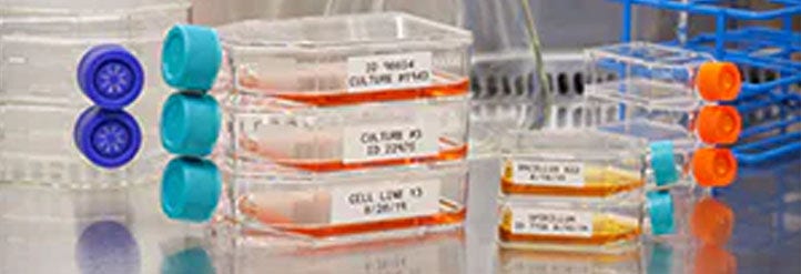 Lean Lab Identification