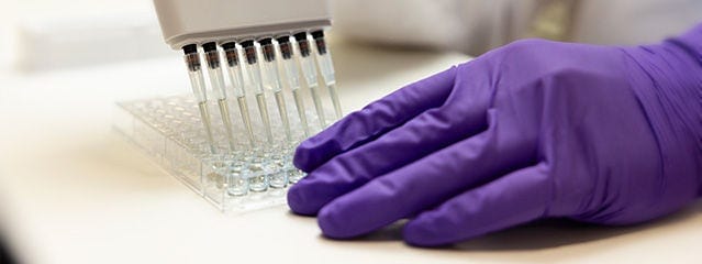 Kits ELISA