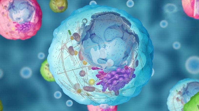 5 razones por las que el pH correcto es fundamental para la salud celular