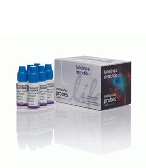 Reactivo Invitrogen™ NucBlue™ Live ReadyProbes™