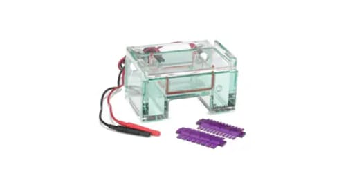 Gel Electrophoresis Equipment and Supplies