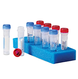 Thermo Scientific Quanti-Cult Plus Pseudomonas paraeruginosa ATCC 9027