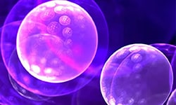 Cell Proliferation