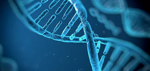 Gene Expression (mRNA) Analysis