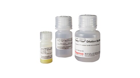 Antibody Production and Purification