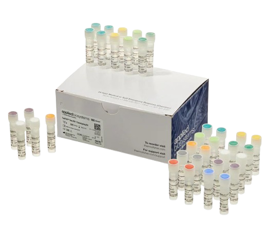 25356 Merch P2 Product 2