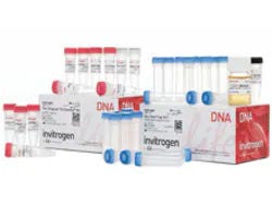 DNA Cloning and Mapping and Mutagenesis