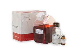 Ensayos celulares generales