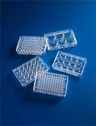 Contec™ Sterile IPA