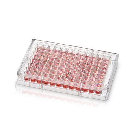 Microplaca Thermo Scientific™ Nunc™ Microwell de 96 pocillos con superficie Nunclon™ Supra