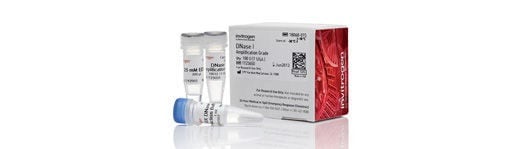 Invitrogen™ DNase I, grado para amplificación