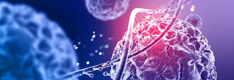 Reprogramming Immune Cells Directly Inside the Body Could Transform Cancer Therapy