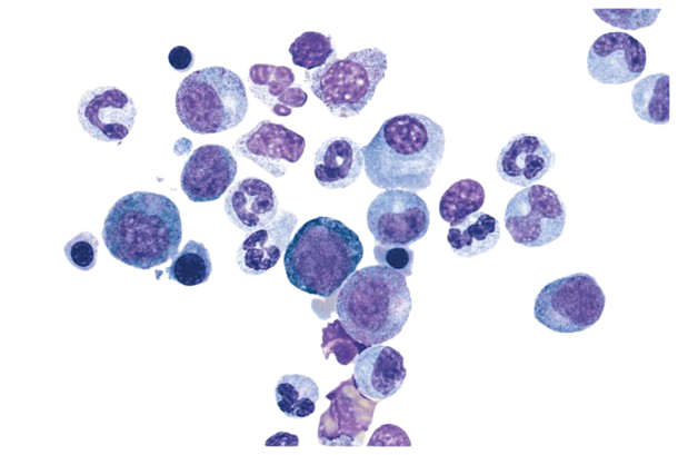 24997_Merch_P2_Product1