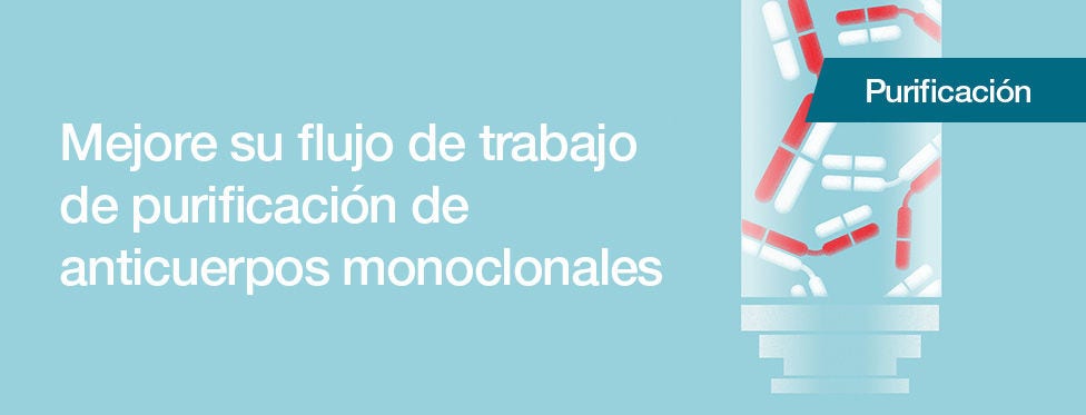 Resinas de cromatografía de proteína A