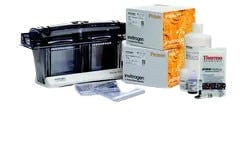 25341_Merch_P2_Product2