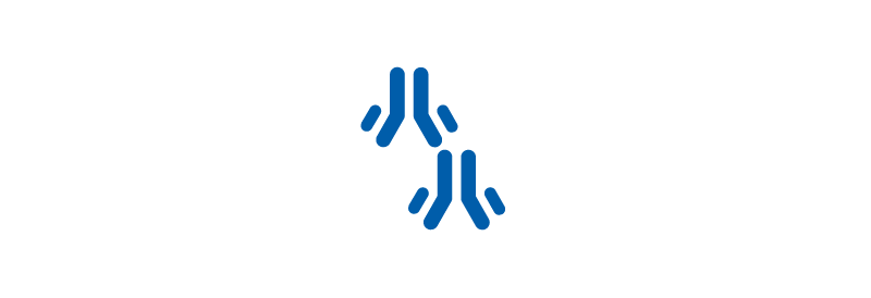Immunoprecipitation (IP) / Chromatin Immunoprecipitation (ChIP)
