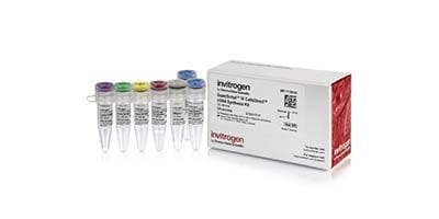 25766_Flexible_P3_Product