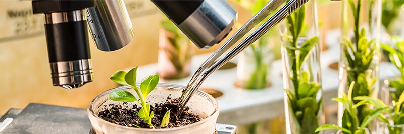 Agriscience and Agrochemicals Testing