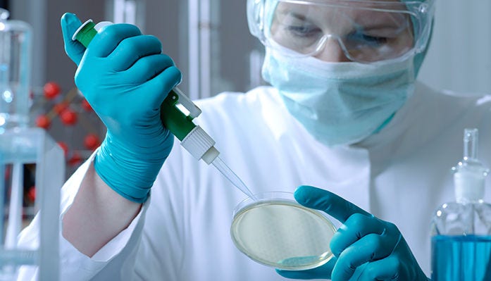 Safety Lab Essentials Portfolio