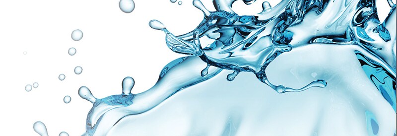 Fisher Scientific Water Essentials Brochure