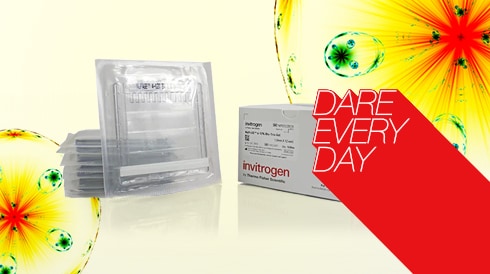 Get 10% off Invitrogen NuPAGE Bis-Tris Mini Protein Gels for high-resolution separation.. Save now
