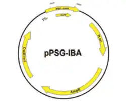 DNA Extraction Purification P8 Product Image 3