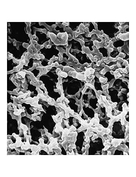 Filtros de membrana Merck Durapore™ 0,45 µm